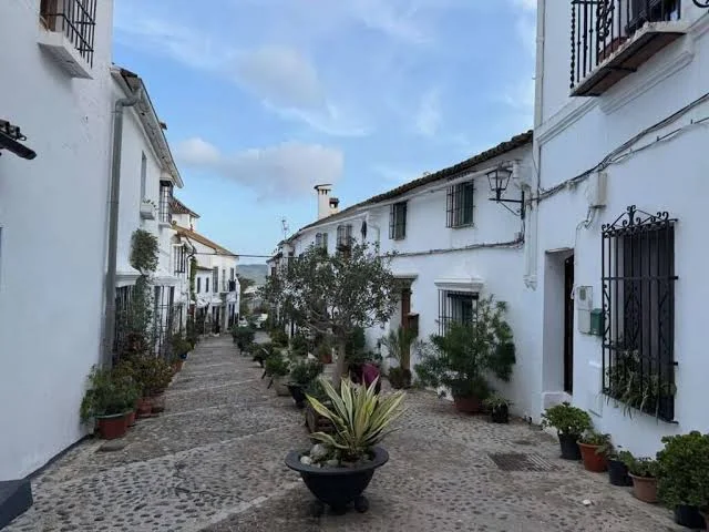 C/ San Sebastian
