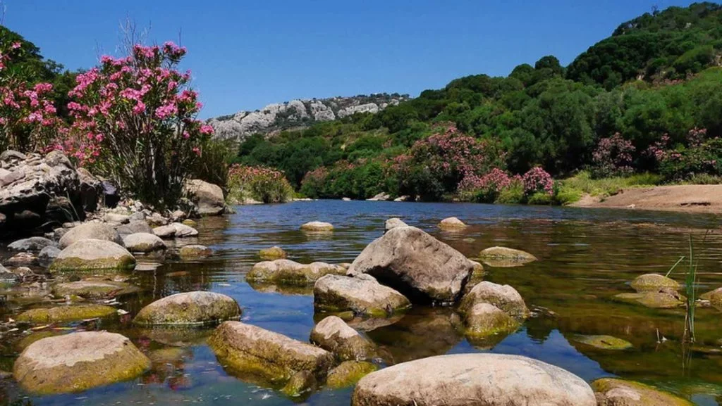 Río Hozgarganta