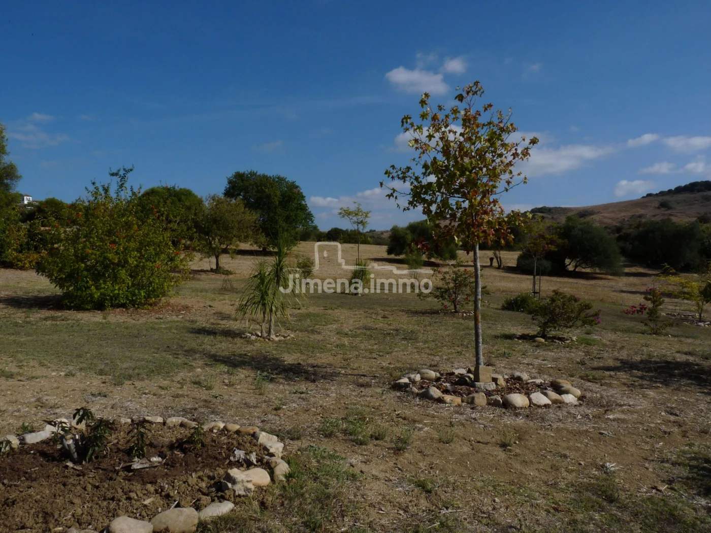Un sueño convertido en realidad cerca de Jimena de la Frontera