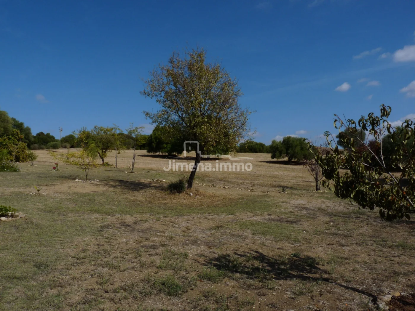 Un sueño convertido en realidad cerca de Jimena de la Frontera