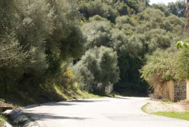 Ruta ecoturística vega del guadiaro